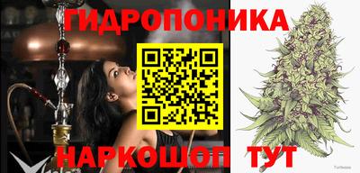 дживик Кунгур