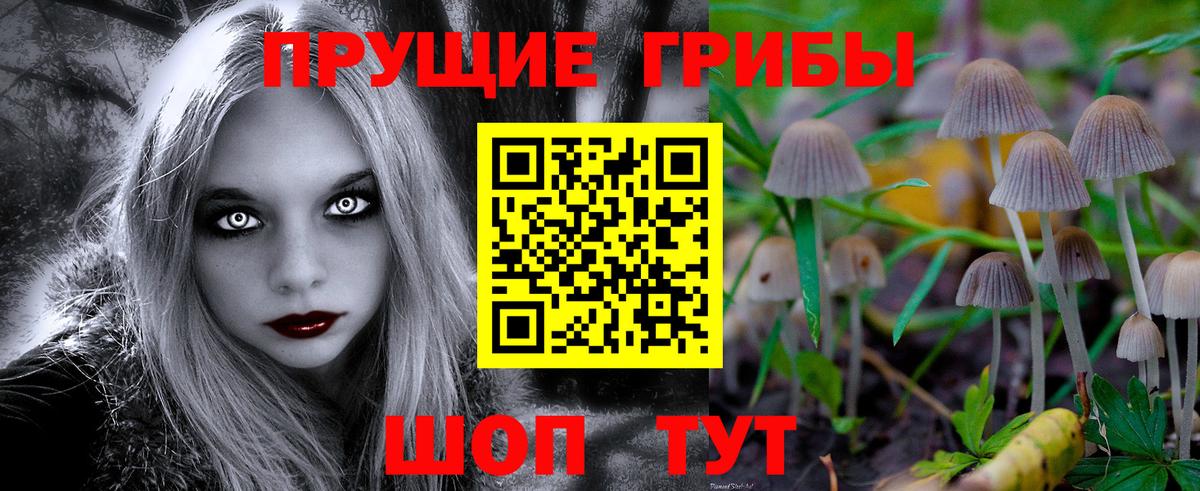 Галлюциногенные грибы прущие грибы  Псилоцибиновые грибы Psilocybe  Балашов  Вход с VPN 